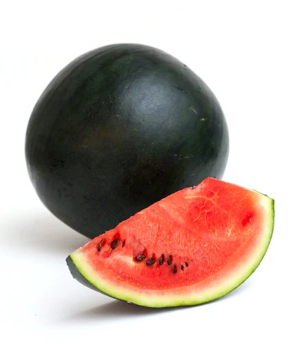 Melon d'eau Blacktail Mountain - Semences
