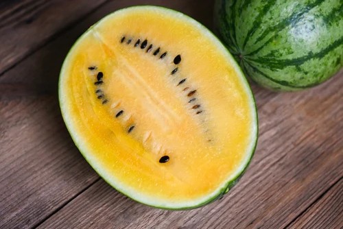 Melon d'eau Sweet Siberian - Semences