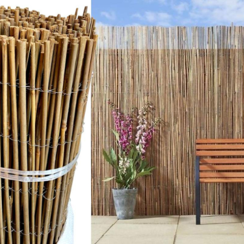 Clôture canne de bambou 