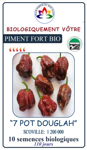 Piment fort "7 pot Douglah" rouge - BIO - Semences