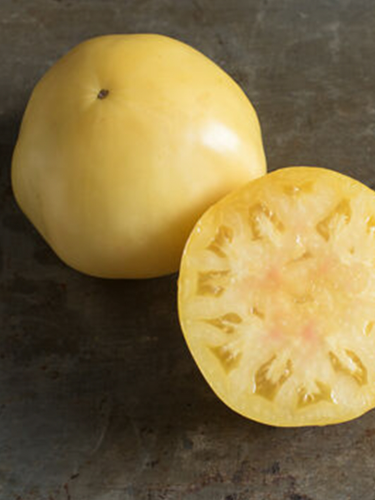 Tomate blanche 'Great White' - BIO - Semences