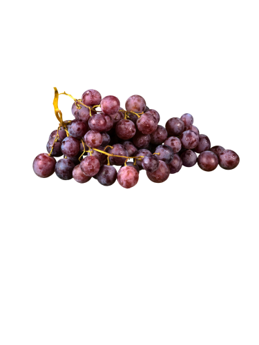 Vigne raisin 'Somerset' BIO - 2g