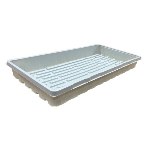 Plateau blanc pour semis ou boutures - White tray 10x20