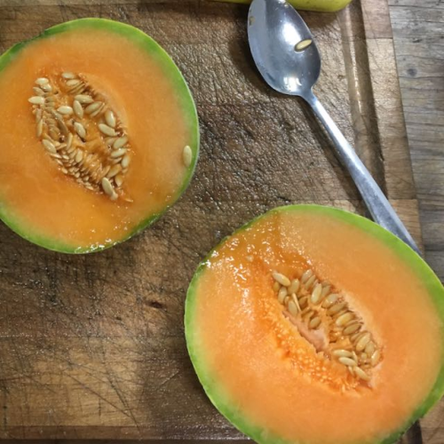 Melon Oka - Bio - Semences