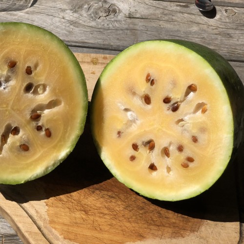 Melon d'eau 'Sweet Siberian'  - Bio -  semences