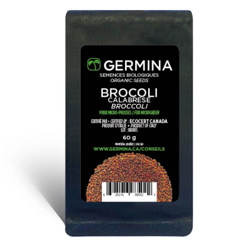 Brocoli calabrais à germer - Bio - 60g